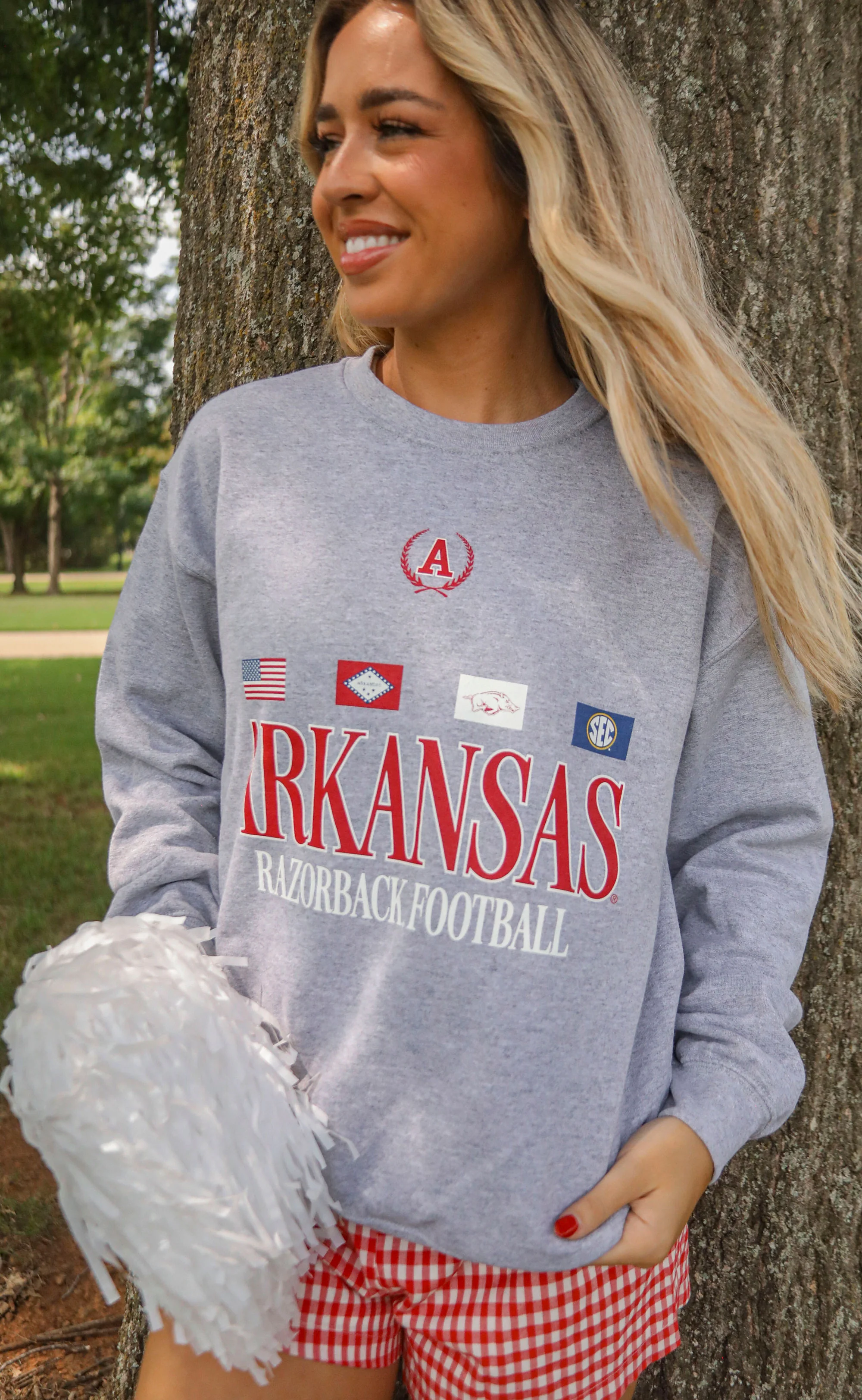 charlie southern: arkansas flag sweatshirt - Image 4