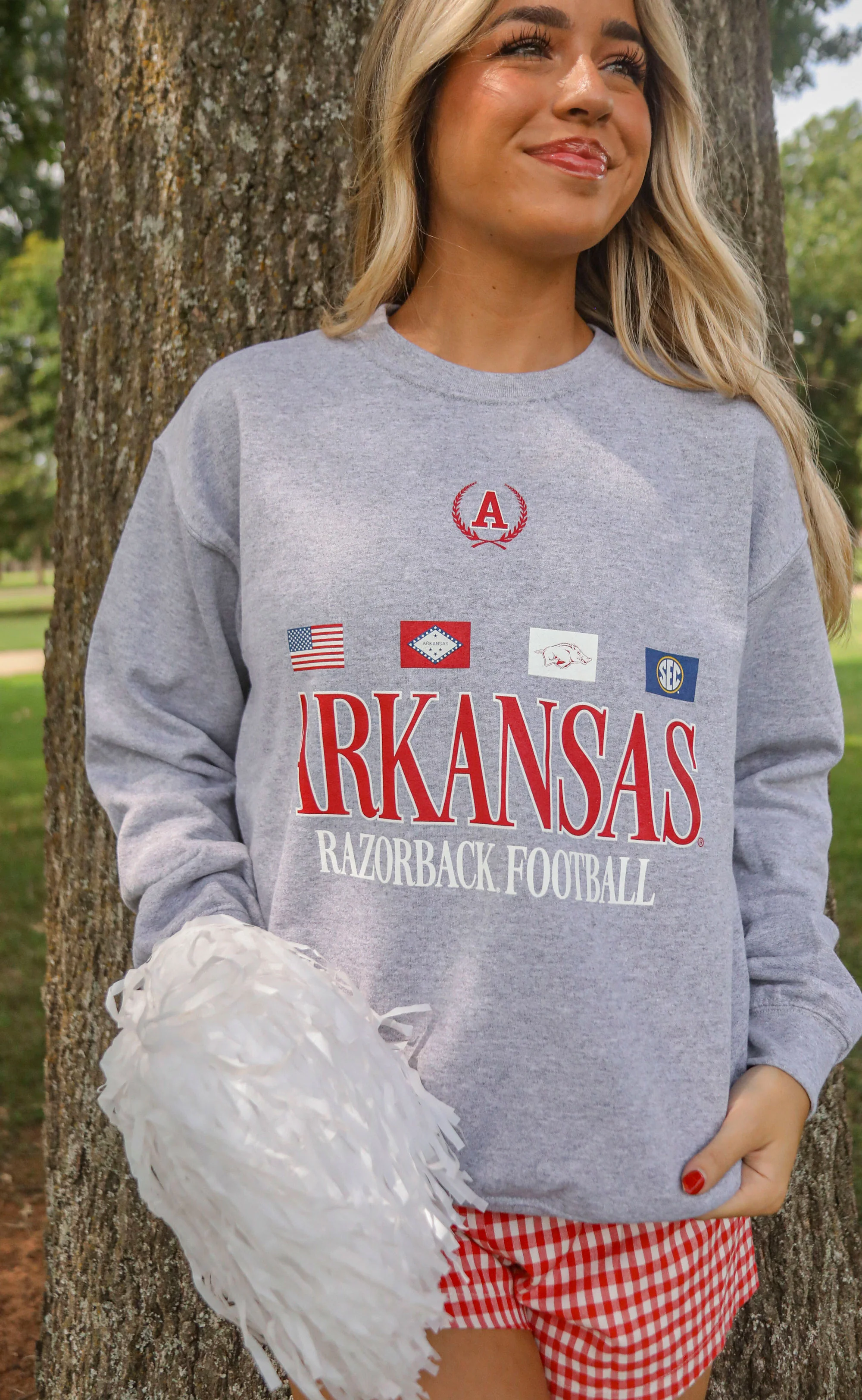 charlie southern: arkansas flag sweatshirt - Image 5