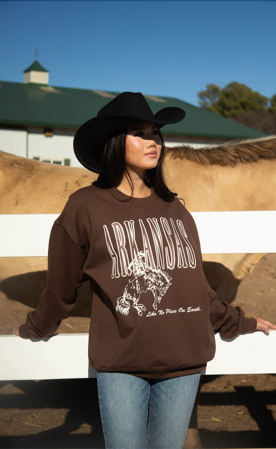charlie southern: arkansas like no place on earth sweatshirt - Image 2